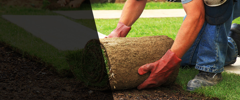 Beardstown Landscapers